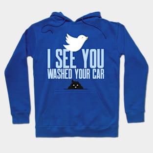 I see you just washed your car! Hoodie